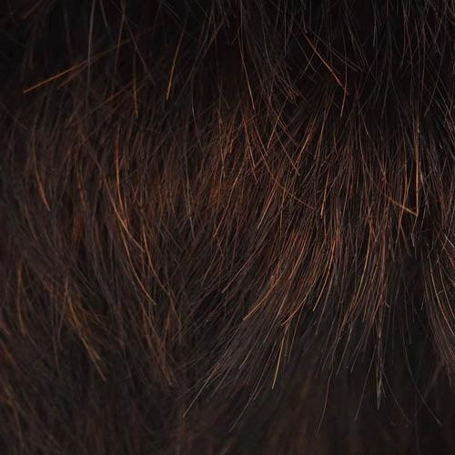 BA509 M. Shortie by WigPro | Bali Synthetic Hair Wig | Clearance Sale