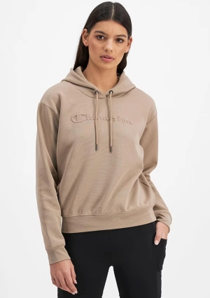 Champion Women's Rochester Tech Hoodie