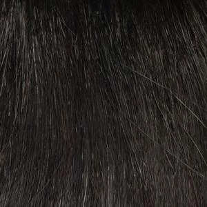 Dakota Wig by Envy | Synthetic (Lace Front Mono Part)