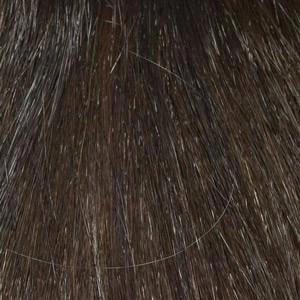 Dakota Wig by Envy | Synthetic (Lace Front Mono Part)
