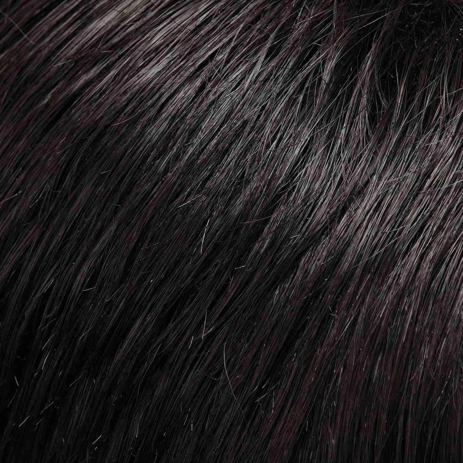 easiVolume 10" by Jon Renau | 100% Human Hair Extension (Clip In)