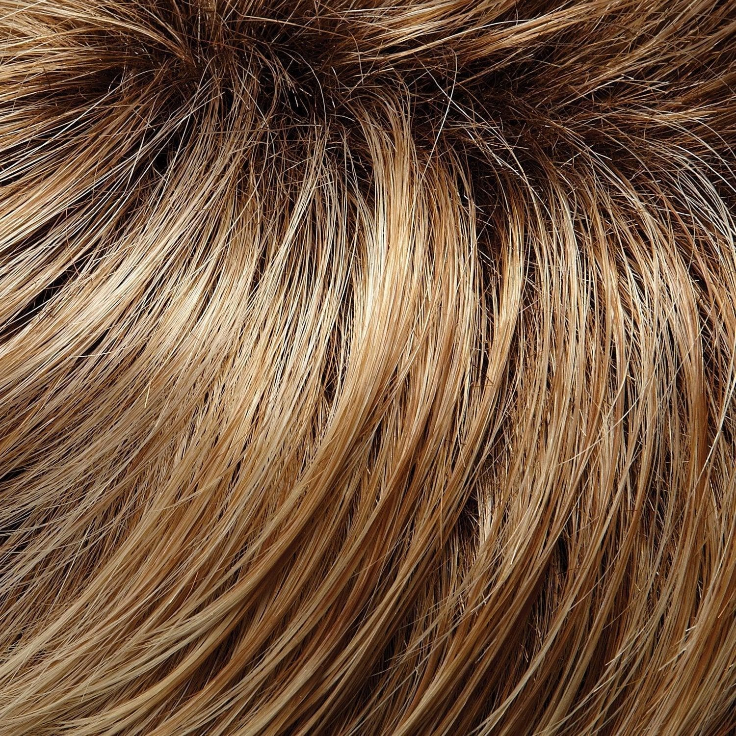 January Hand Tied Wig by Jon Renau | Synthetic Lace Front (Mono Top)