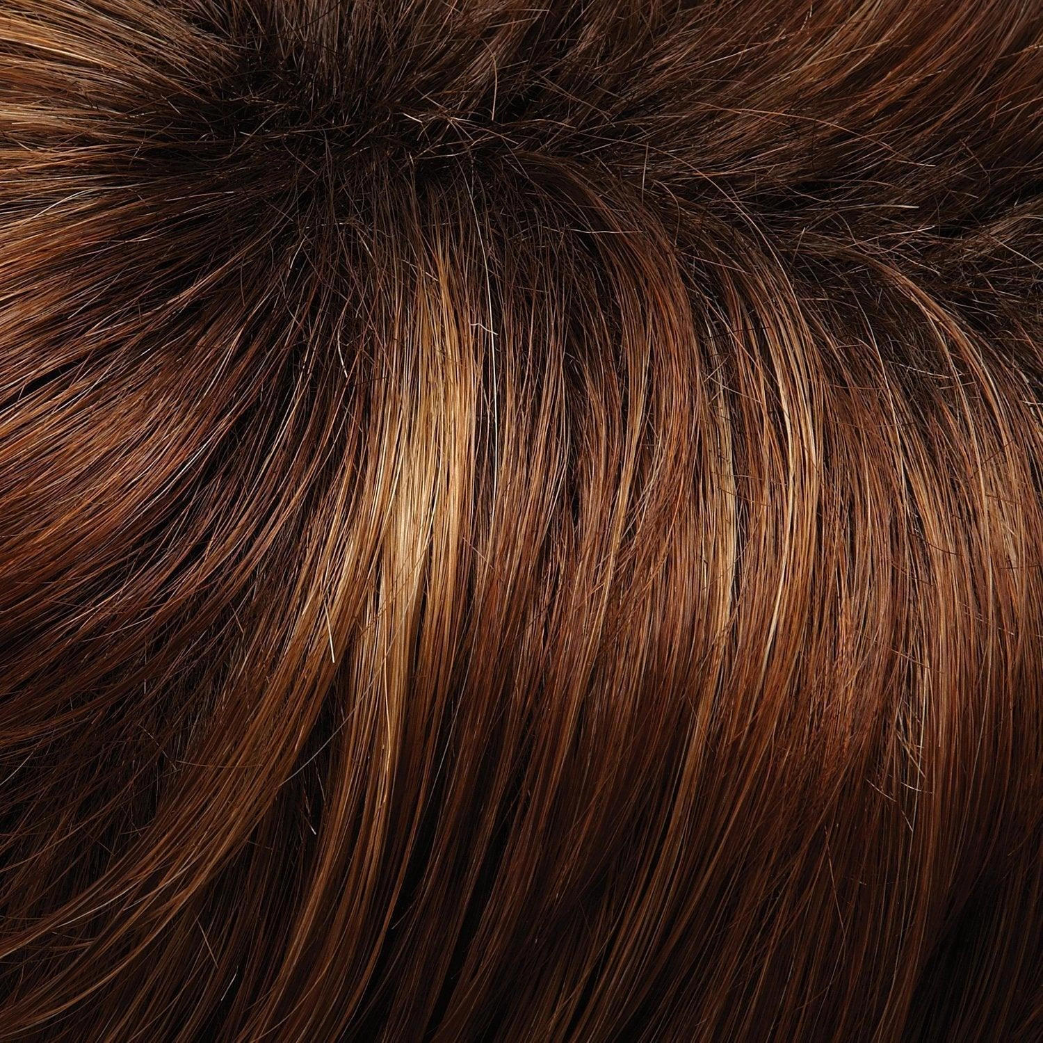 January Hand Tied Wig by Jon Renau | Synthetic Lace Front (Mono Top)