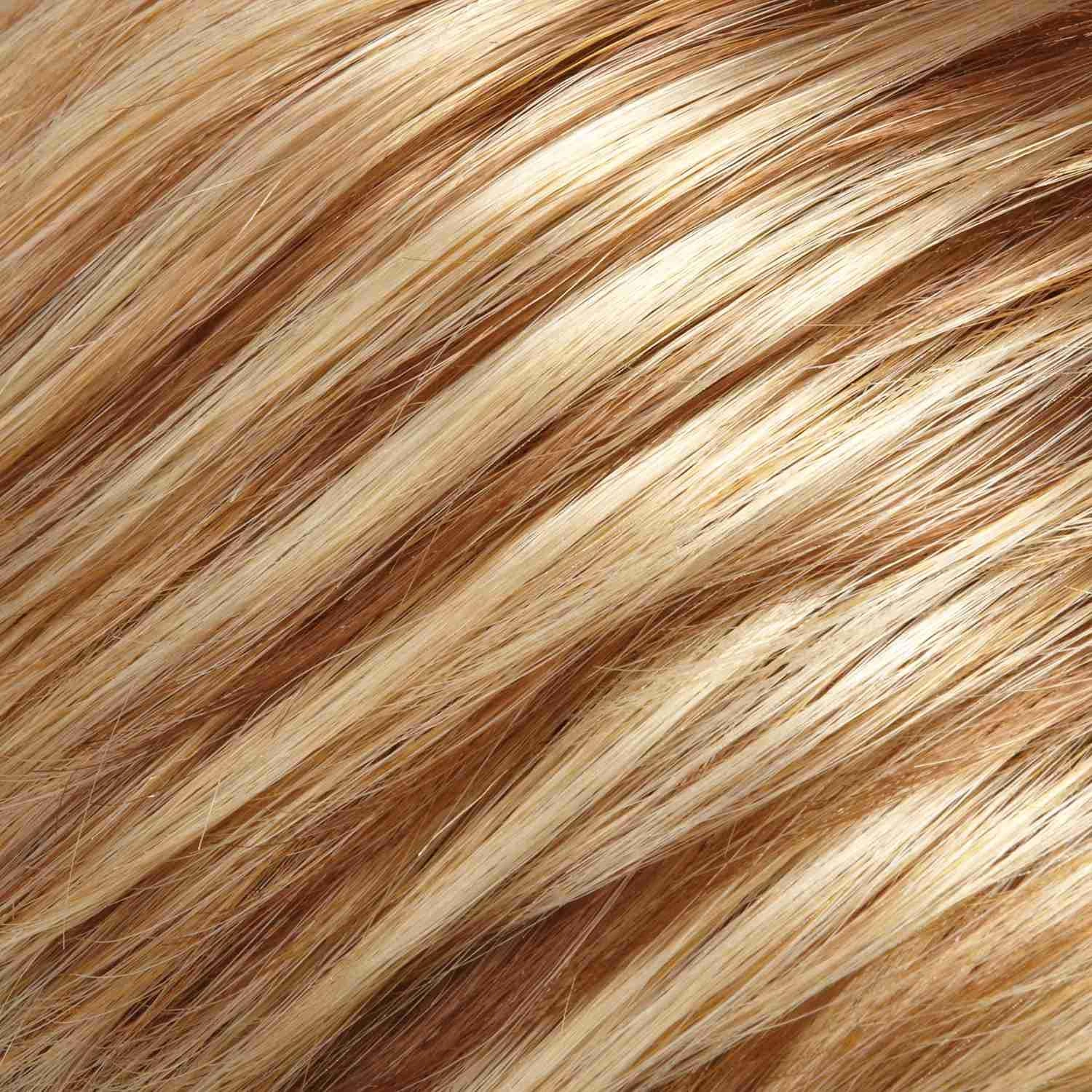 January Hand Tied Wig by Jon Renau | Synthetic Lace Front (Mono Top)