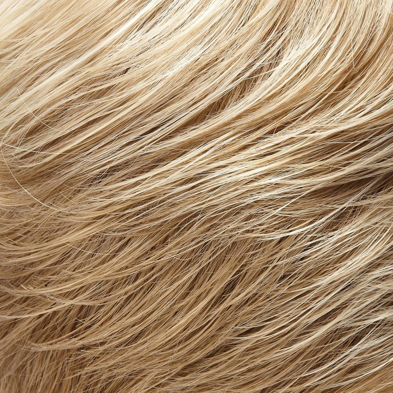 January Hand Tied Wig by Jon Renau | Synthetic Lace Front (Mono Top)