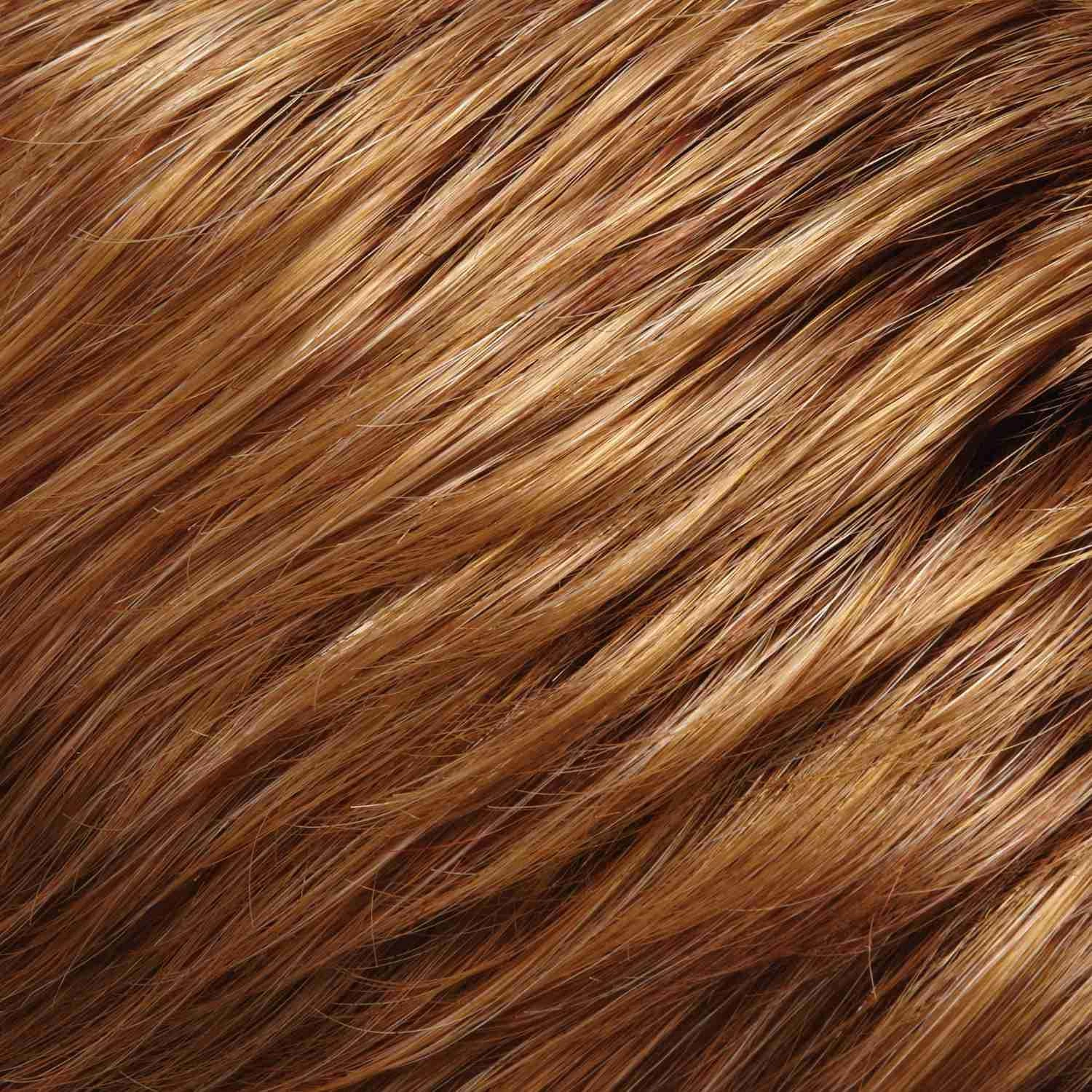January Hand Tied Wig by Jon Renau | Synthetic Lace Front (Mono Top)
