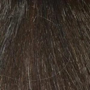 Jeannie Wig by Envy | Synthetic (Mono Top)