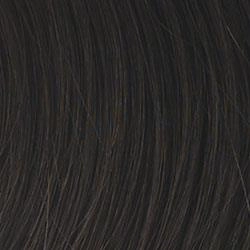 Positivity Wig by Gabor | Synthetic Lace Front (Mono)