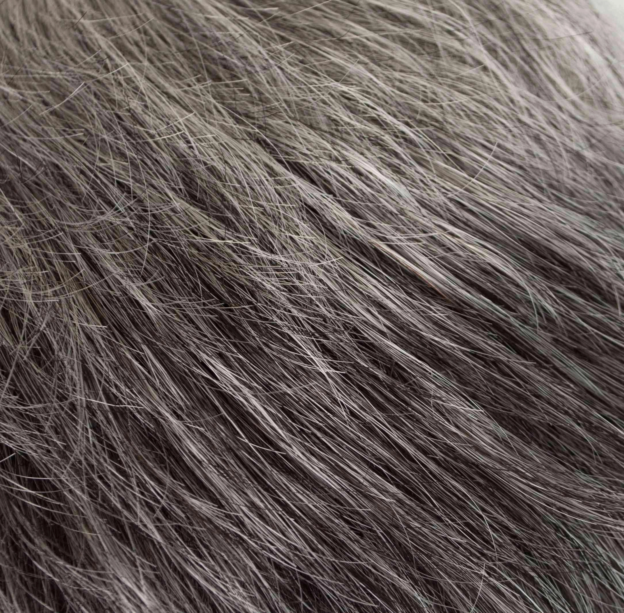 Quartette Hairpiece by Tony of Beverly | Synthetic Hair (Honeycomb Base)
