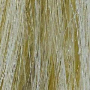 Remy HH Topper 10" by Amore | Human Hair Lace Front (Mono)