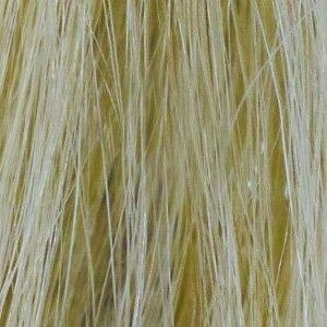 Remy HH Topper 14" by Amore | Human Hair Lace Front (Mono)