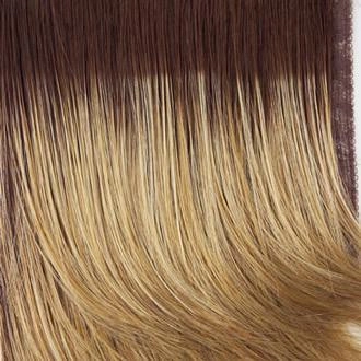 Whisper Wig by Raquel Welch | Synthetic (Traditional Cap)