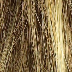 Whisper Wig by Raquel Welch | Synthetic (Traditional Cap)