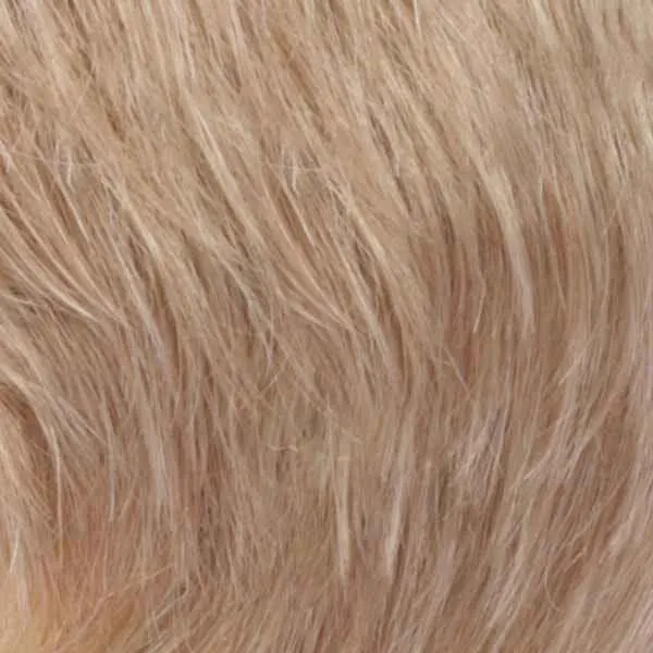 Wiglet 36-LF Hairpiece by Estetica Designs | Synthetic (Mono Top)