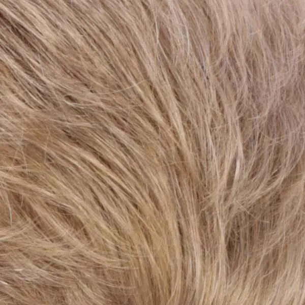 Wiglet 36-LF Hairpiece by Estetica Designs | Synthetic (Mono Top)